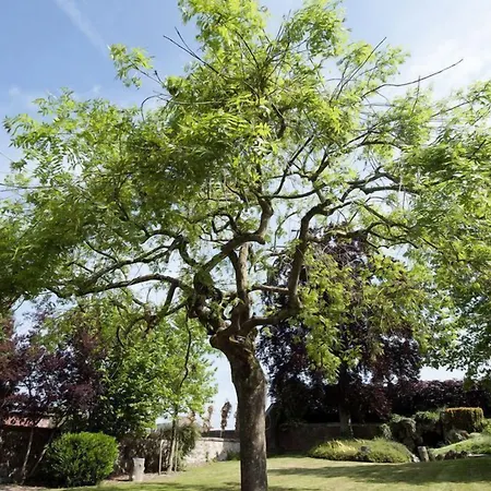 Hotel Le Carré Des Arts Le Cateau-Cambresis